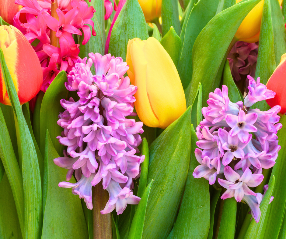 Florca's Spring Favorites 2026
